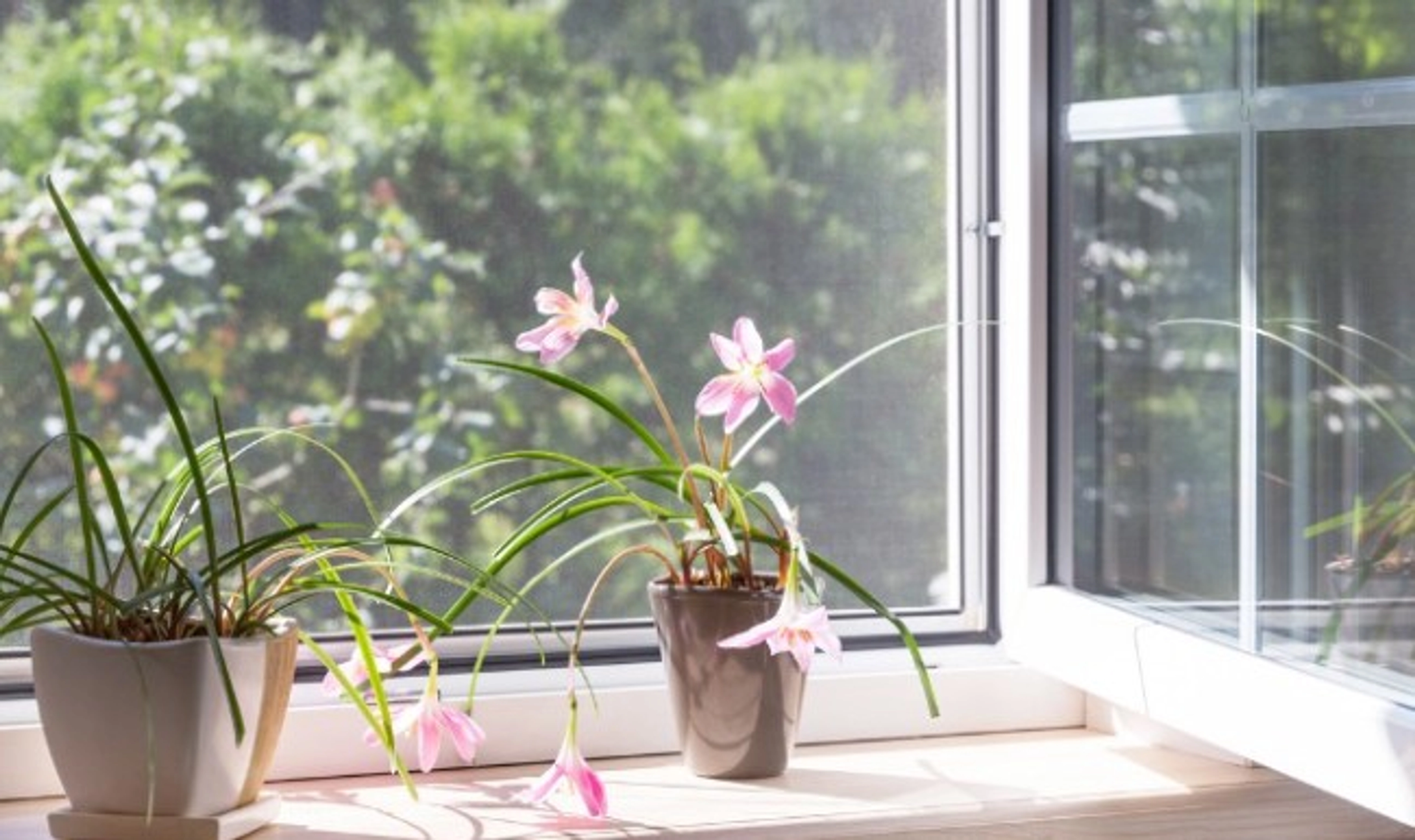 Comment installer une moustiquaire sur une fenetre avec volet roulant ?