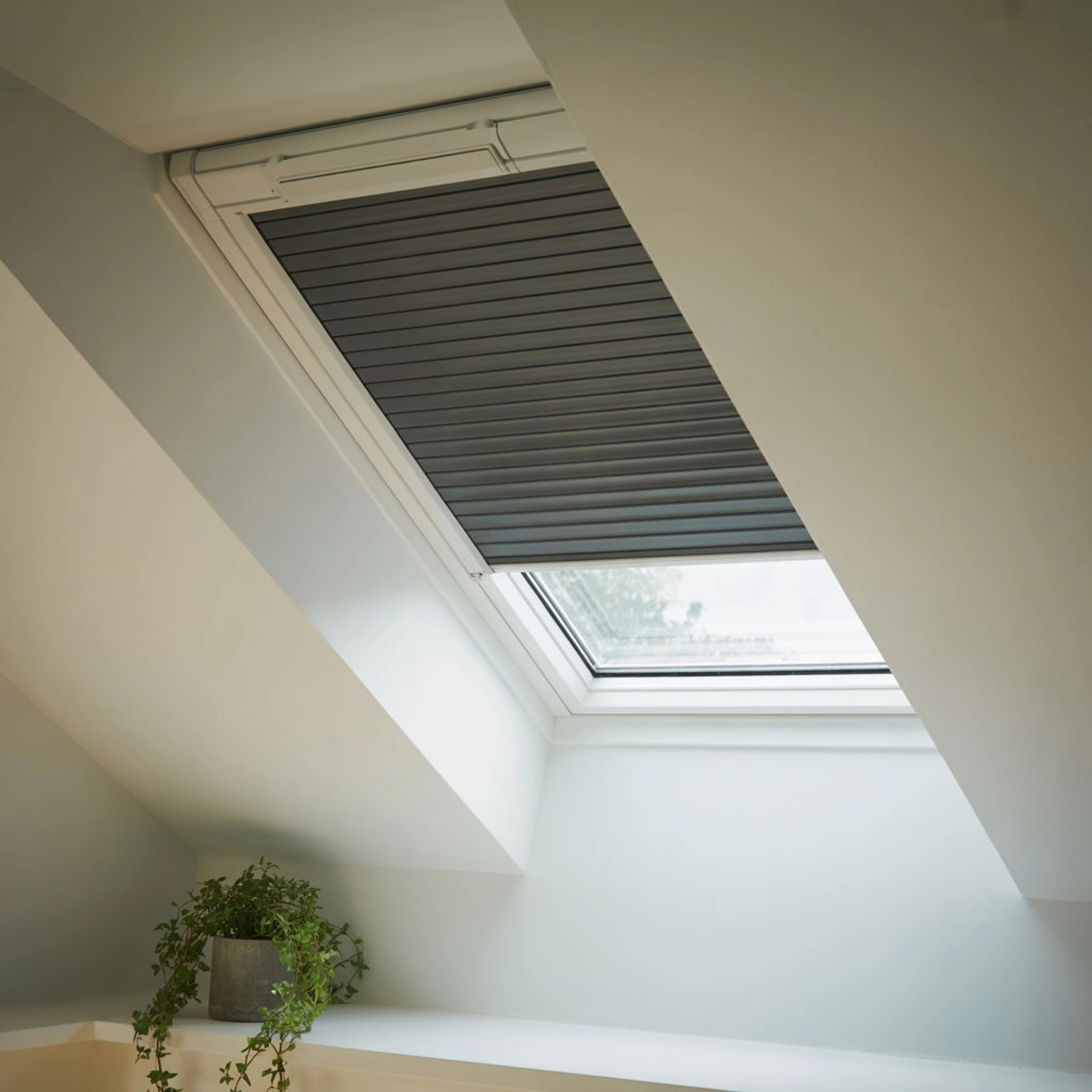 Combien coûte le changement d’un Velux ?